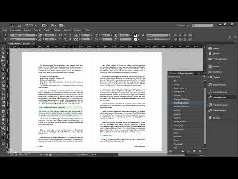 Large projects in Adobe InDesign - 3.04 - Quick formatting