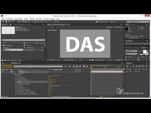 Astuces et techniques pour la 3D dans After Effects : types de caméras