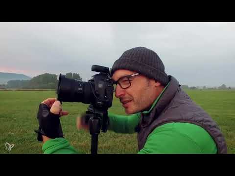 Autumn mood with the Lichtemotionist - 03 Image composition