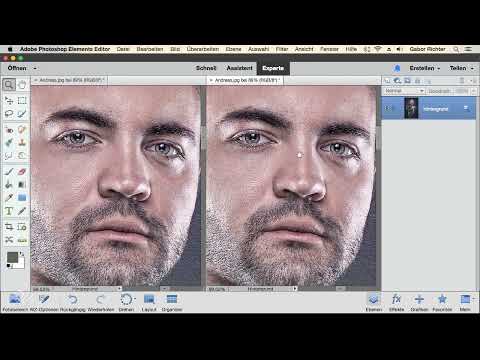 Photoshop Elements: 3.5 | Pencereyi kopyala