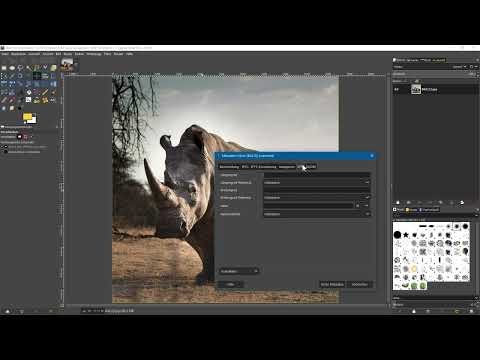 GIMP 2.10'daki yeni özellikler: 1.6 | Meta veri düzenleyici