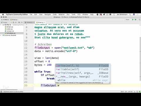 Programmare con Python - Lavorare con dati binari