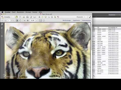 Digital image processing for airbrush artists: Print output - Poster printing
