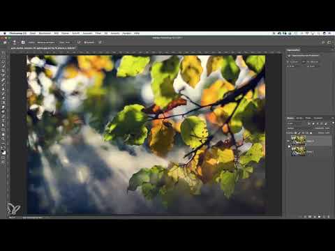 Photoshop i&ccedil;in Başlangı&ccedil; ve İlerletme - 3.1 Katmanlar Prensibi