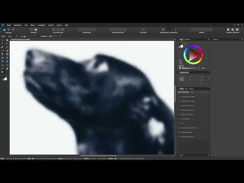 Affinity Designer-Tutorial – Grundlagen: 1.9 | Durch ein Dokument navigieren