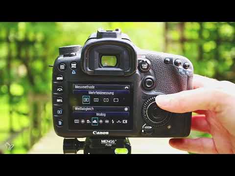 Step by step: Outdoor dog photos - 3 The camera settings for dog photos without movement