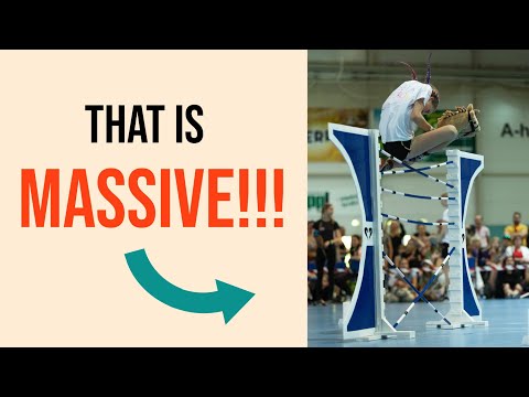 Forhåndsvisningsbillede: Hobbyhorse: Hvad er det?