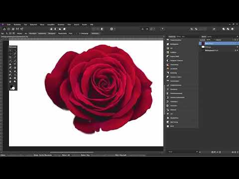 Affinity Photo ile kesim yapmak: 06 | Arkaplan Silgi ile kesim yapma