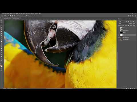 Photoshop teknikleri: 5.14 | Poligon resmi oluşturmak