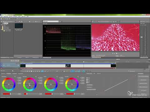Magix VEGAS Pro 17 - Video tutorial on the new features: 03 | Color Grading