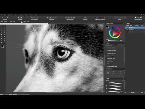 Affinity Designer-Tutorial – Grundlagen: 6.5 | Verwischen-Werkzeug