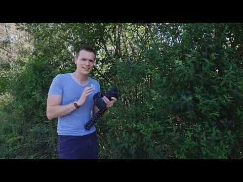 Videografikurs: 6.7 | Hur fokuserar jag manuellt vid video?