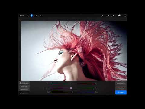 Procreate Tutorial - Basics of digital drawing on the iPad: 4.5 | Color manipulation