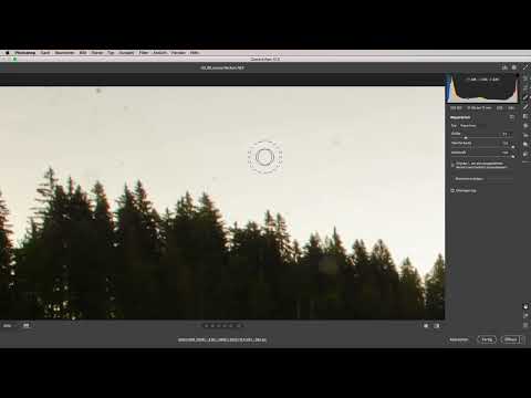 Tutoriel Camera Raw : 3.6 | Taches de capteur