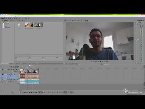 VEGAS Pro 14 – Format och skript