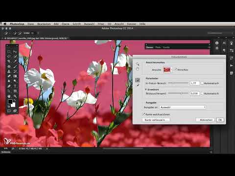 Nouveaut&eacute;s dans le Creative Cloud : Photoshop CC 2014 (juin 2014) - S&eacute;lection de 06 zones de mise au point.