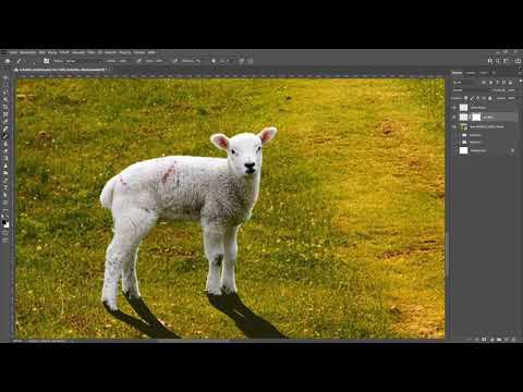 Photoshop teknikleri: 2.31 | Gölge oluşturma