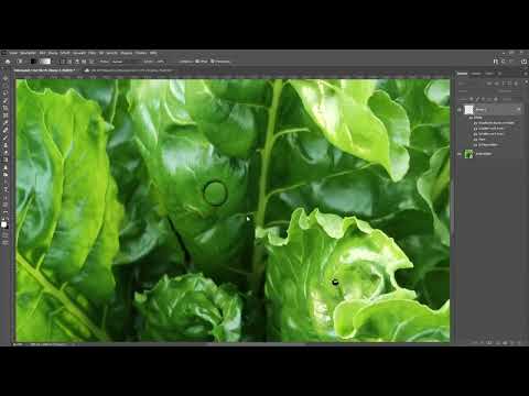 Photoshop Teknikleri: 4.1 | Tek tek damlalar oluşturma