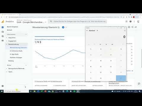 Google Analytics-Tutorial: 6.5 | Bericht Monetarisierung