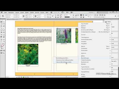 Légendes d'images dans InDesign