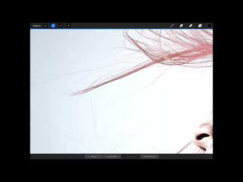 Procreate tutorial - Basics of digital drawing on the iPad: 4.4 | Filters