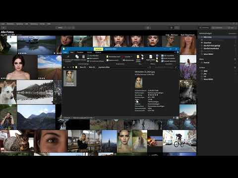 Skylum Luminar 4-vejledning: 1.9 | Gemme fotos